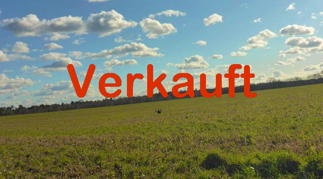 Verkauft