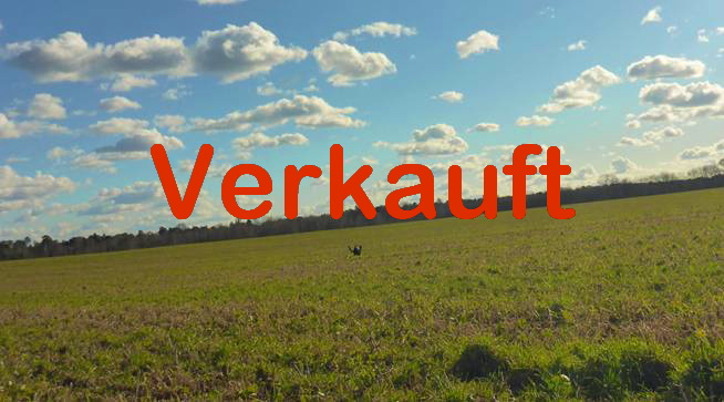 Verkauft